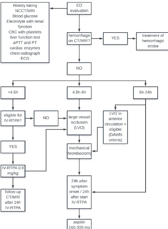 Figure 1: Algorithm for initial diagnosis and therapy for AIS (1)