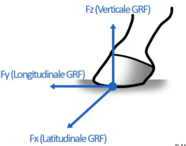 FIGUUR 9. De 3 componenten van grond reactie kracht (GRF), de verticale, longitudinale en latitudinale of zijwaartse kracht
