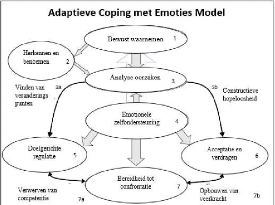 Figuur 1. ACE-model van een adaptieve omgang met negatieve emoties (Berking, 2017, p. 15; Berking &amp; 