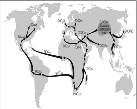 Figure 3: The spread of cannabis, by the hand of humans, from its putative homeland in  Central Asia (J