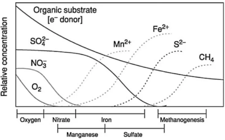 Fig. 4 Sequential reduction of oxidants and accumulation of reductants ( -— oxidized com-pounds, - - - reduced  compounds) in rice paddy fields