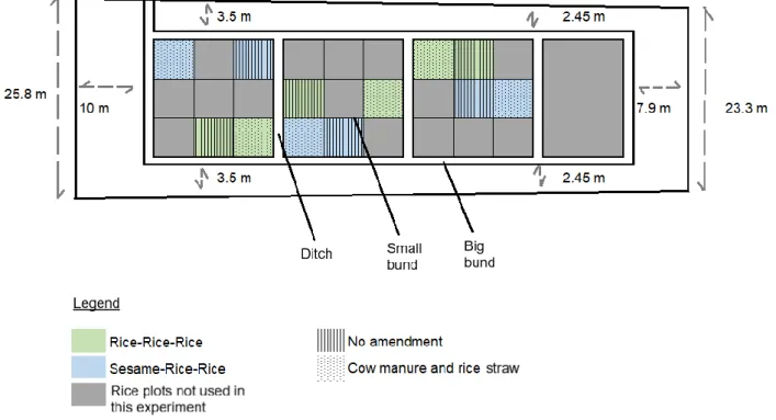 Fig. 8 Layout of the field experiment. 
