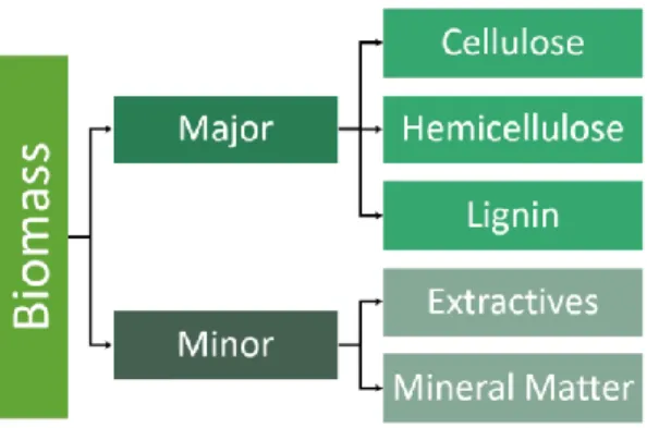 Figure 1. Scheme of the simplified division of lignocellulosic biomass constituents. 