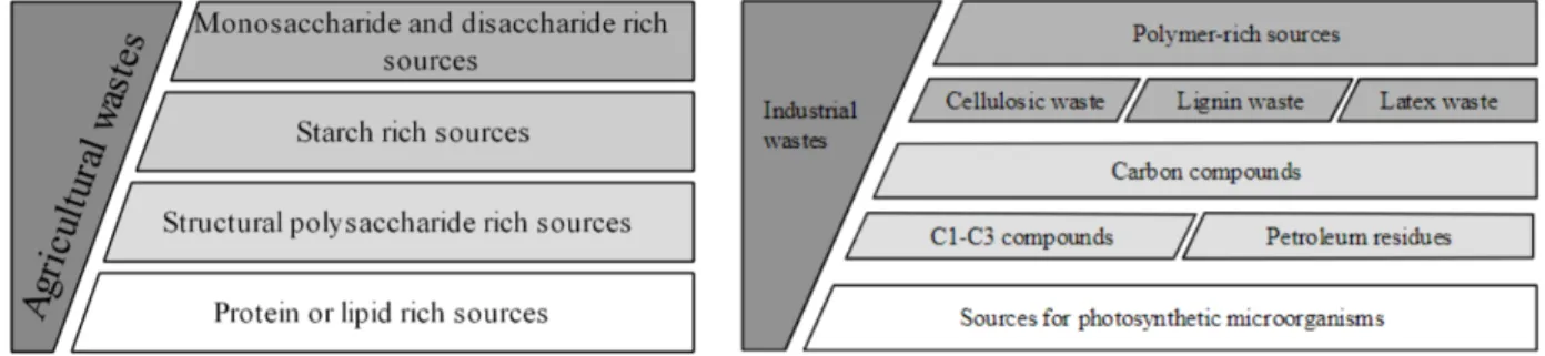 Figure 1.3 Categorization of agricultural(left)/industrial(right) wastes applicable for cultivation of MP pro- pro-ducing microorganisms (K