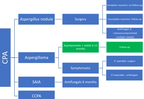 Figure 9 Overview of antifungal treatment in CPA: blue ERS guidelines (1), green IDSA guidelines (2) 