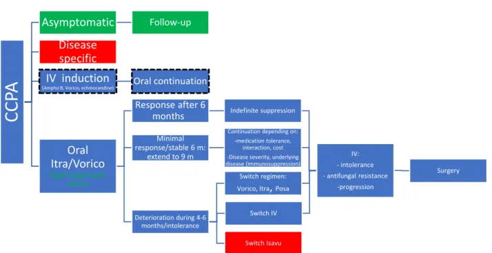 Figure  10  Antifungal  treatment  CCPA:  blue:  ERS  guidelines  (1);    green:  IDSA  guidelines  (2);    in  brackets:  weak  recommendations; red: clinical practise/research gaps; vorico: voriconazole; itra: itraconazole;  posa: posaconazole, isavu: 