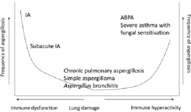 Figure 1 The clinical spectrum of pulmonary aspergillosis (5) 