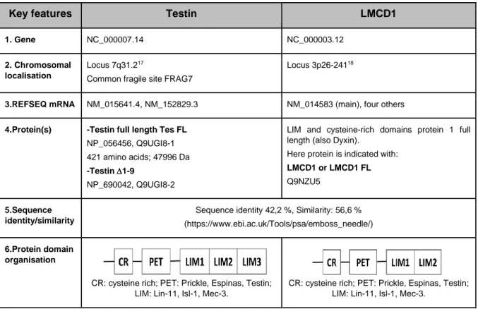 Table 1 Selected features of testin and LMCD1 ( 4,6–8,10–16  and references therein). 