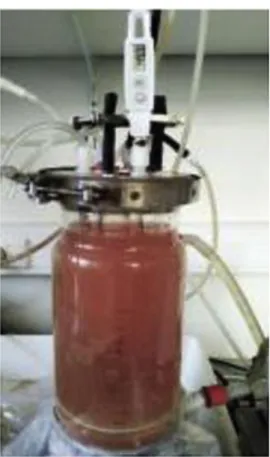 Figure 3.1. Continuously operated membrane bioreactor containing thermophilic anammox enrichment  culture (Vandekerckhove et al., 2020) 