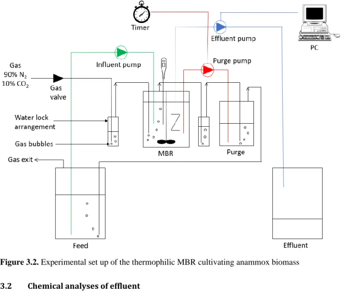 Figure 3.2. Experimental set up of the thermophilic MBR cultivating anammox biomass 