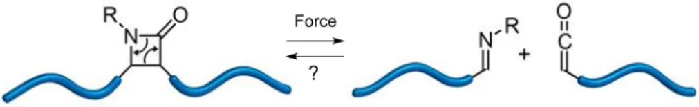 Figure 3: Force-assisted cycloelimination of β-lactams. 