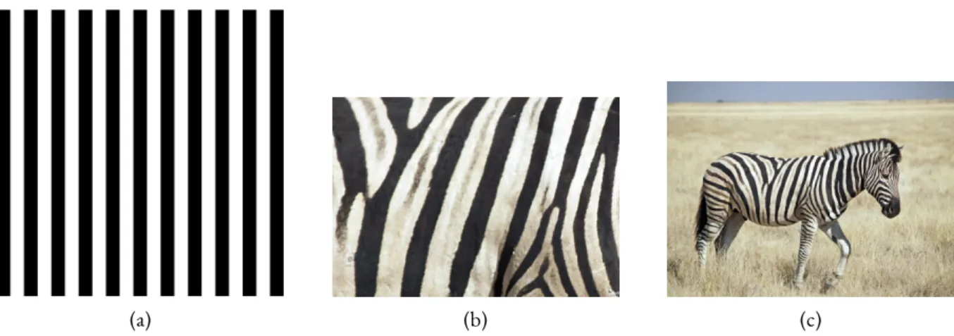Figure 2.1: The left and middle images are visual examples of the striped concept of various origins