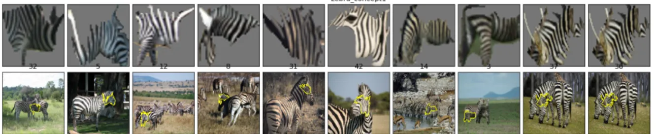 Figure 2.3: The output of ACE applied to a set of example images of the zebra class, using the GoogLeNet classifier