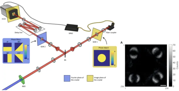 Figure 2: In a recent paper by Moreau et al. a way to ’image’ the entanglement between two photons is demonstrated.[ 15 ] In the experiment a laser source fires photons at a liquid crystal (BBO) which causes entanglement between the phases of some photons