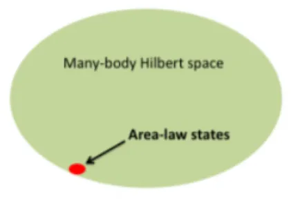 Figure 1.2: The small corner of the many-body Hilbert space where the area law applies