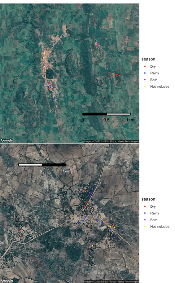 Figure 8. Satellite image of Nyembe (top) and Chimvira (bottom) locating all households (HHs) with  pigs tracked