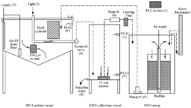 Figure 2.7 Schematic diagram of an automated 500-L copepod culture system. Nauplius collection and  water  recycling  procedures  are  described  as  follows:  1  Harvest  sequence  initiated  by  pressing  the 
