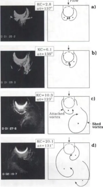 Figure 2-17: Near-bed wake vortices (Sumer and Fredsøe, 1997) 