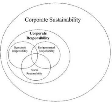 Figuur 2.2: Definitie CSR volgens Linnanen en Panapanaan (2002) (zoals weergegeven in Van  Marrewijk, 2003)