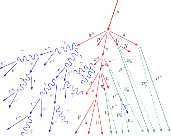 F IGURE 2.3: Illustration of the development of an extensive air shower, initiated by a high energy cosmic ray.