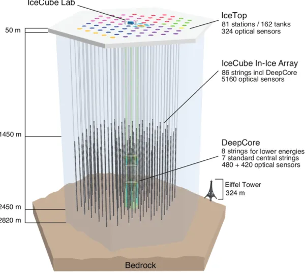 F IGURE 3.5: Illustration of the IceCube Neutrino Observatory, with its different components