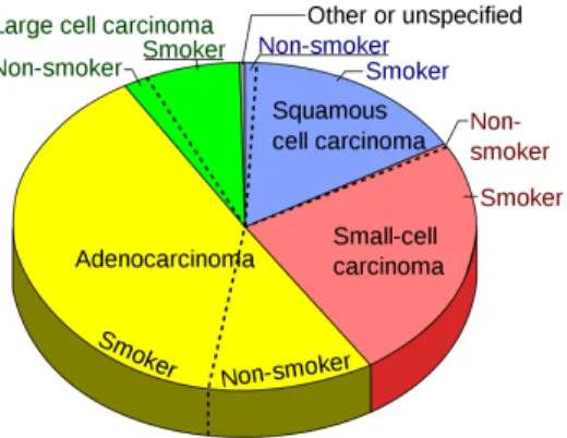 Figure 2-9: Relative prevalence of main lung cancer types and relation to smoking [9]