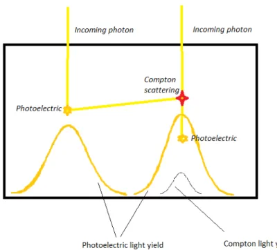 Figure 1.3: Illustration of different interactions and their influence on the light distribution