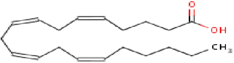 Figure 6- Structure of arachidonic acid  (Source: ChEBI)  2.4.4.3.  Omega-3 (ω-3 or n-3) family  