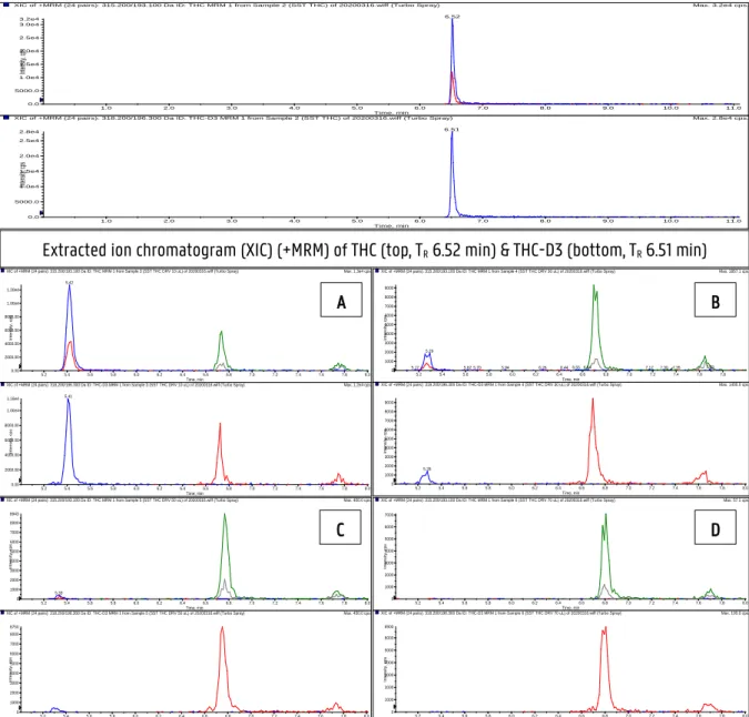 Figure 4.1: XIC (+MRM) of four THC samples in 50 % MeOH/ 50 % H 2 O derivatized with 10 μL (A), 30 μL (B), 50 μL  (C) and 70 μL (D) of 1.5 mM Fast Red RC
