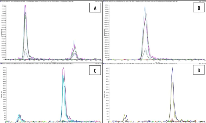 Figure 4.5: XIC (+MRM) of four samples with the individual cannabinoids in 80 % MeOH / 20 % H 2 O derivatized  with 10 µL of 15 mM Fast Red RC