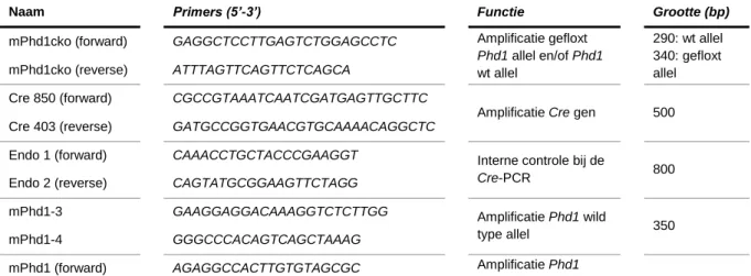 Tabel 1: Primers gebruikt tijdens de genotypering, hun nucleotidensequentie, functie en de grootte van  het geamplificeerde DNA-segment
