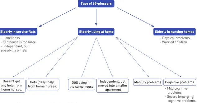 Figure 12  Problems experienced by the elderly