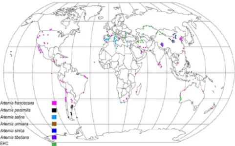 Figure 3 – Globally distribution of Artemia species. (Adapted from Eimanifar, 2014). 