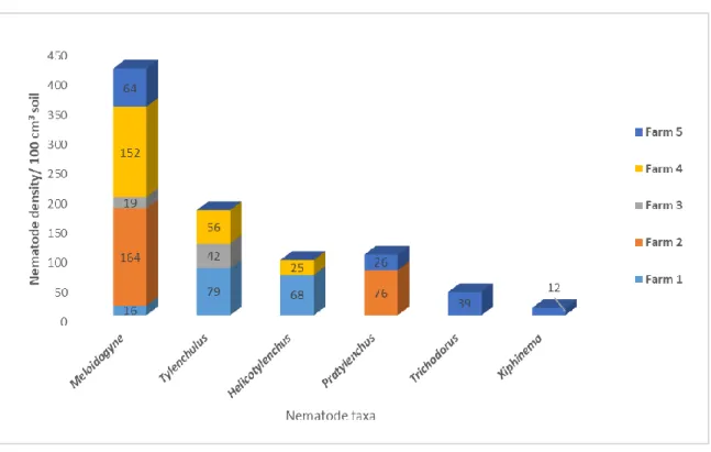 Figure 3. Mean density of PPNs associated with coffee in Kiambu county. 
