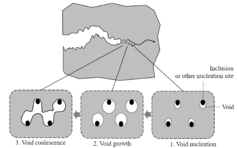 Figure 2.2: Three stages of ductile fracture [5]