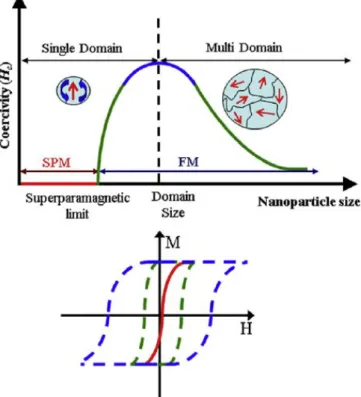 Fig. 2.2 explains the transition between ferromagnetic and superparamagnetic states in a more thorough, yet still qualitative way.