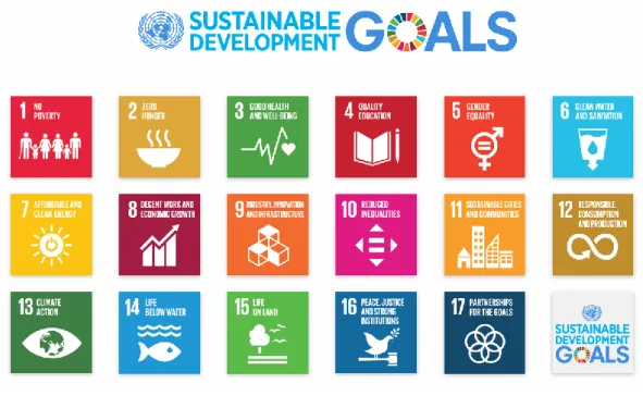 Figuur 1: Sustainable Development Goals (United Nations Development Programme, 2019) 