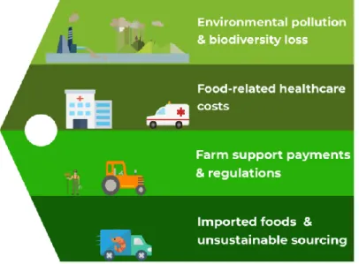 Figuur 2: verborgen kosten van ons voedsel (Sustainable  Food Trust, 2019) 