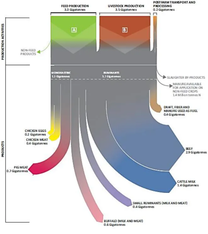Figuur 5: Overzicht van verdeling broeikasgas-emissies van globale veeteelt, per activiteit en  product