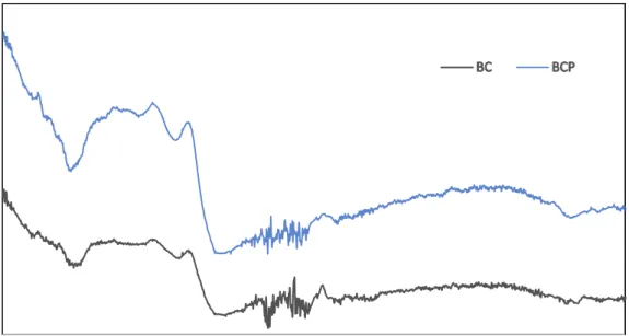 Figure 1 FTIR spectra of biochars a) BC and b) BCP
