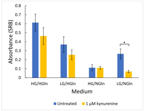 Figure 14: Protein content after eight days of exposure (long-term) to different media and treatment with kynurenine