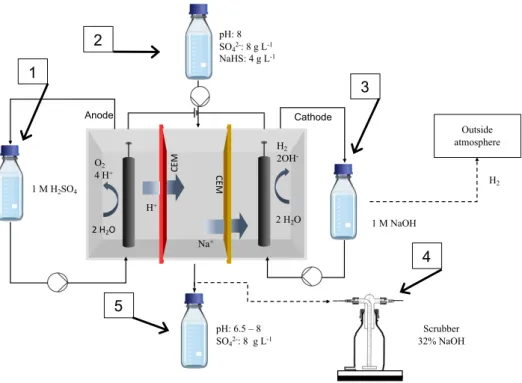Figure 6: Schematic design of the electrochemical acid stripping set-up. 