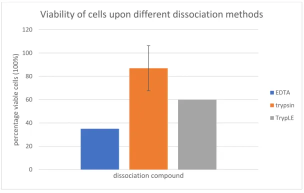 Figure 13: Viability of cells upon different dissociation methods displayed in percentages