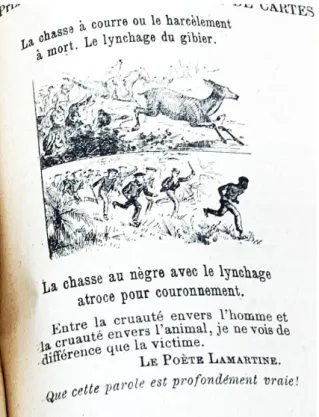Figuur 4: Postkaart van de Maatschappij jegens de Wreedheid tegen de Dieren te Verviers