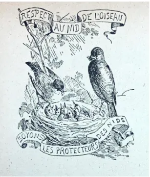 Figuur 1: Decoratieve afbeelding ter promotie van de bescherming van vogels. Rühl, Manuel des sociétés, 3