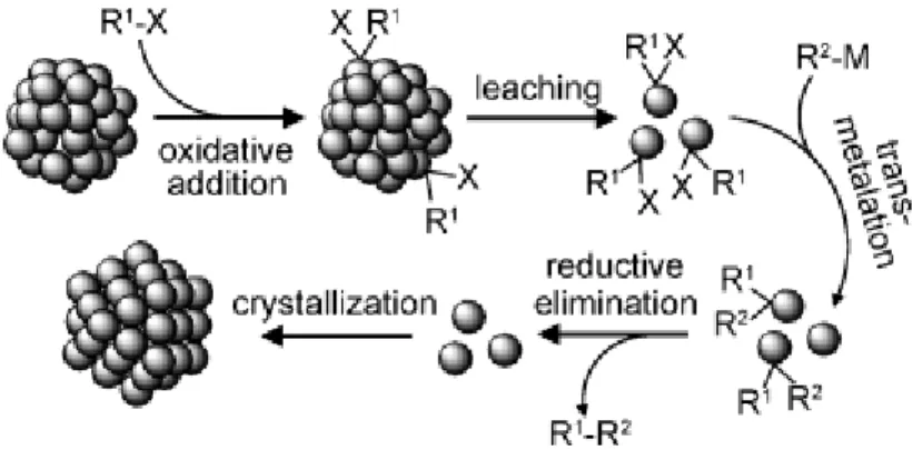 Figuur 7: Voorstelling van het uitloogmechanisme door oxidatieve additie en de herkristallisatie [27] 