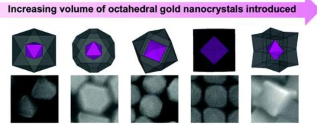 Figuur 8: Shell morfologie van Au-Pd nanokristallen naargelang de aanwezige hoeveelheid Au nanokristallen [34] 