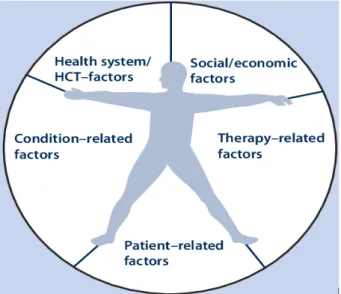 Fig 1.1 Overzicht van de beïnvloedende factoren op de therapietrouw. [27]