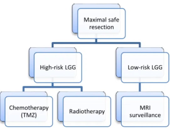 Figure 4. Standard of care for LGG. Patients are divided  into  two  groups,  high-  and  low-risk  LGGs,  based  on  clinical  features  such  as  age  and  extent  of  surgical  resection
