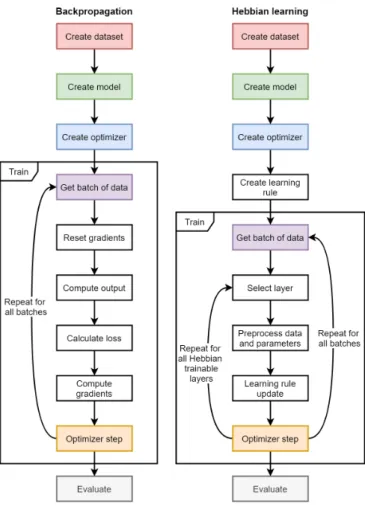 Fig. 2: A comparison of the execution flow of backpropagation and Hebbian learning. A single epoch is shown.